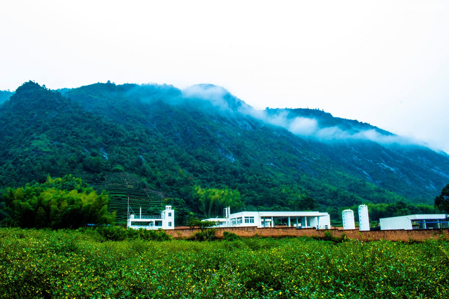 福鼎白琳坑门里村留云寺山瀑风光