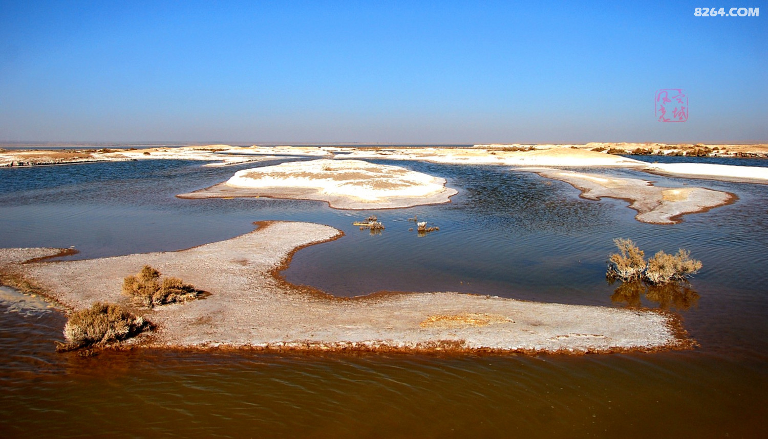 白墩子盐沼湿地风光