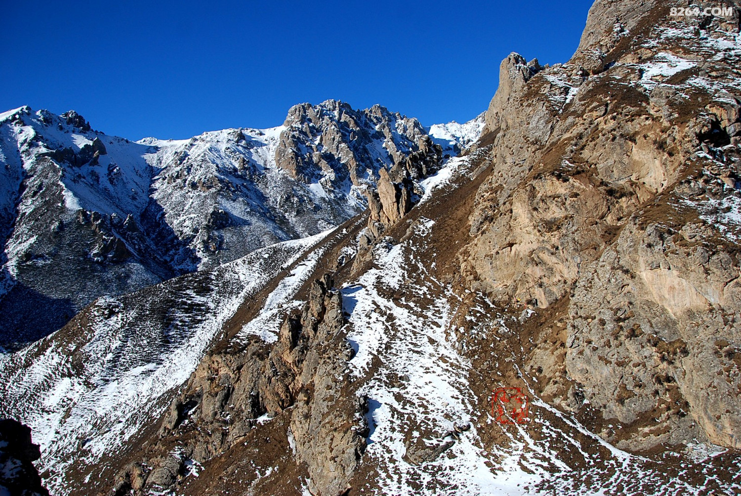 冬天的天祝马牙雪山