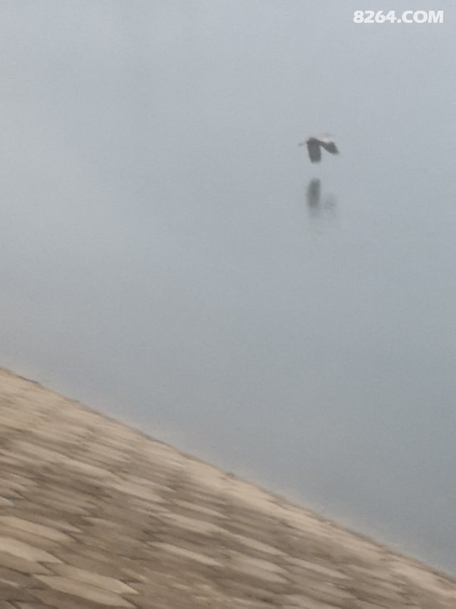 Ϸˮ