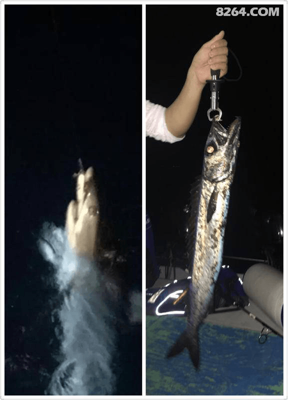 美女夜间竟然喜欢夜间海钓?那这件装备一定要带上!