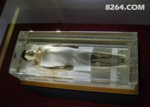 辛追是考古史上前所未见的不腐湿尸,刚刚出土的时候该尸体的软组织