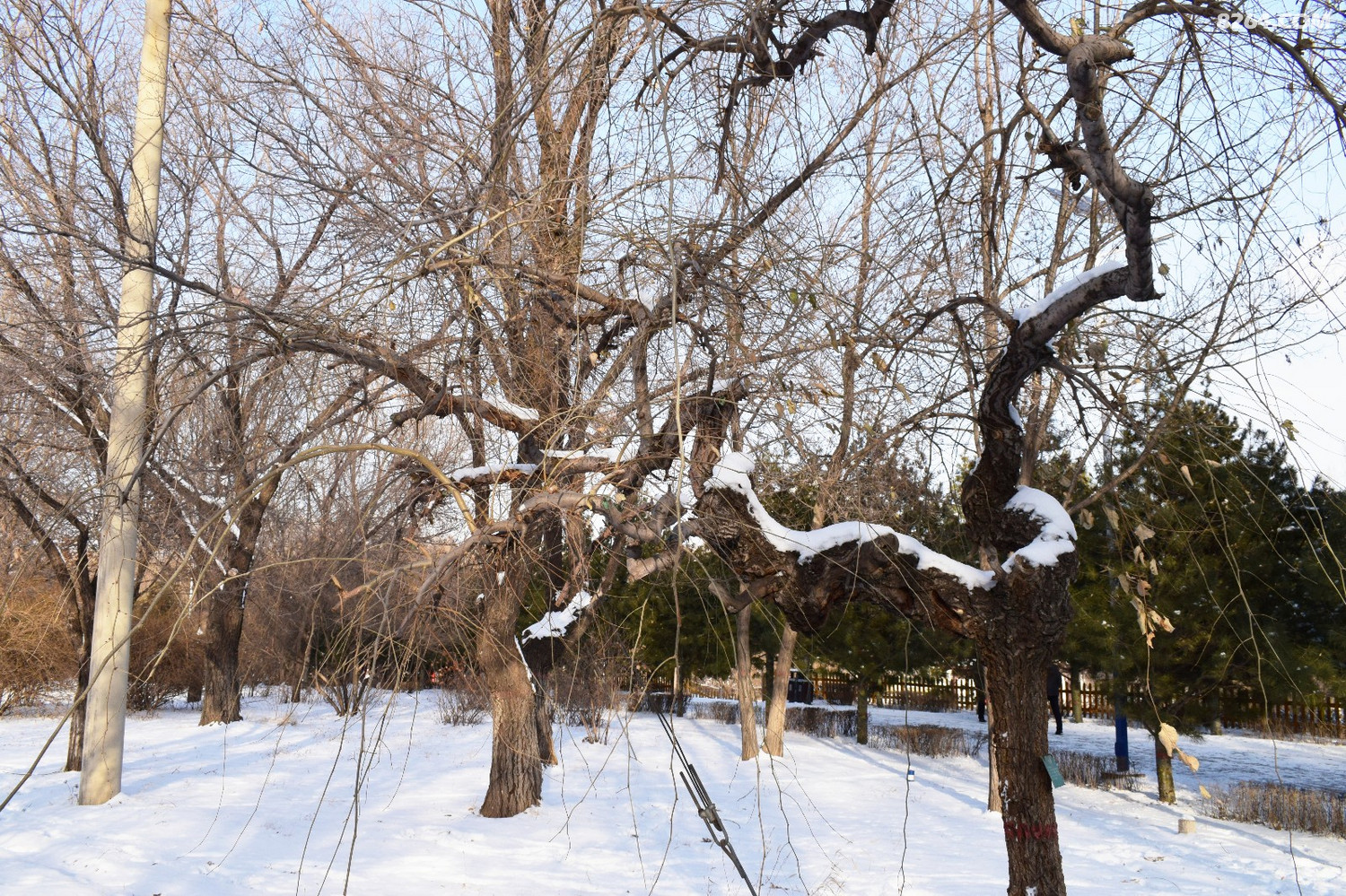 DSC_0006.JPG