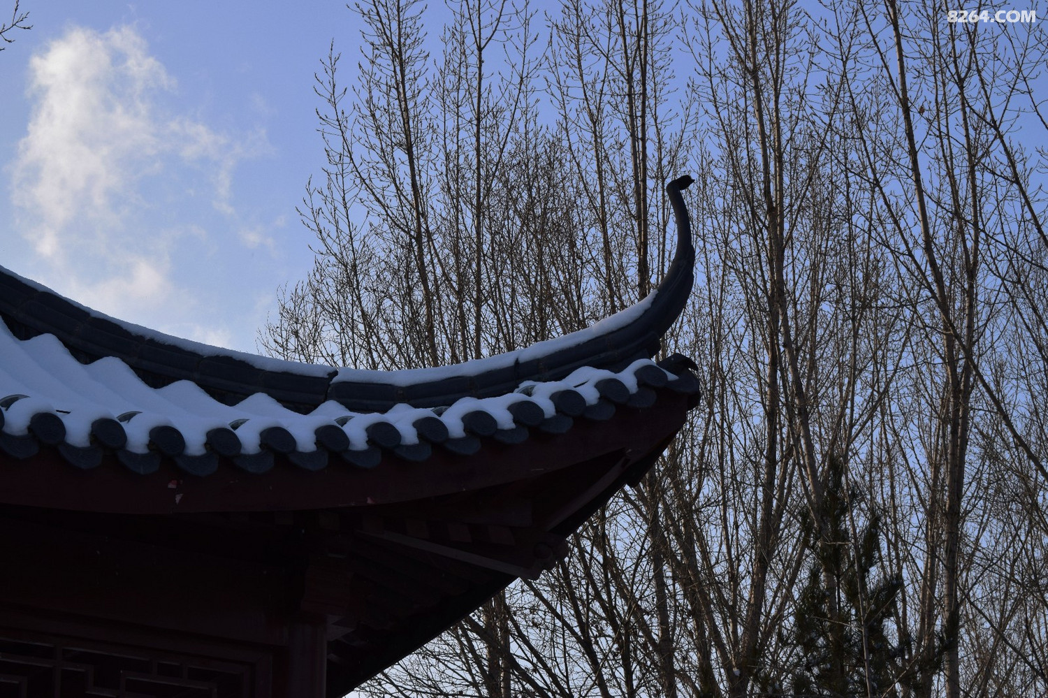 DSC_0033.JPG