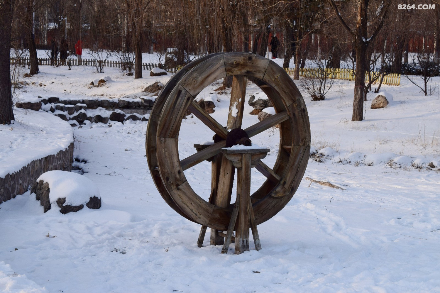DSC_0046.JPG