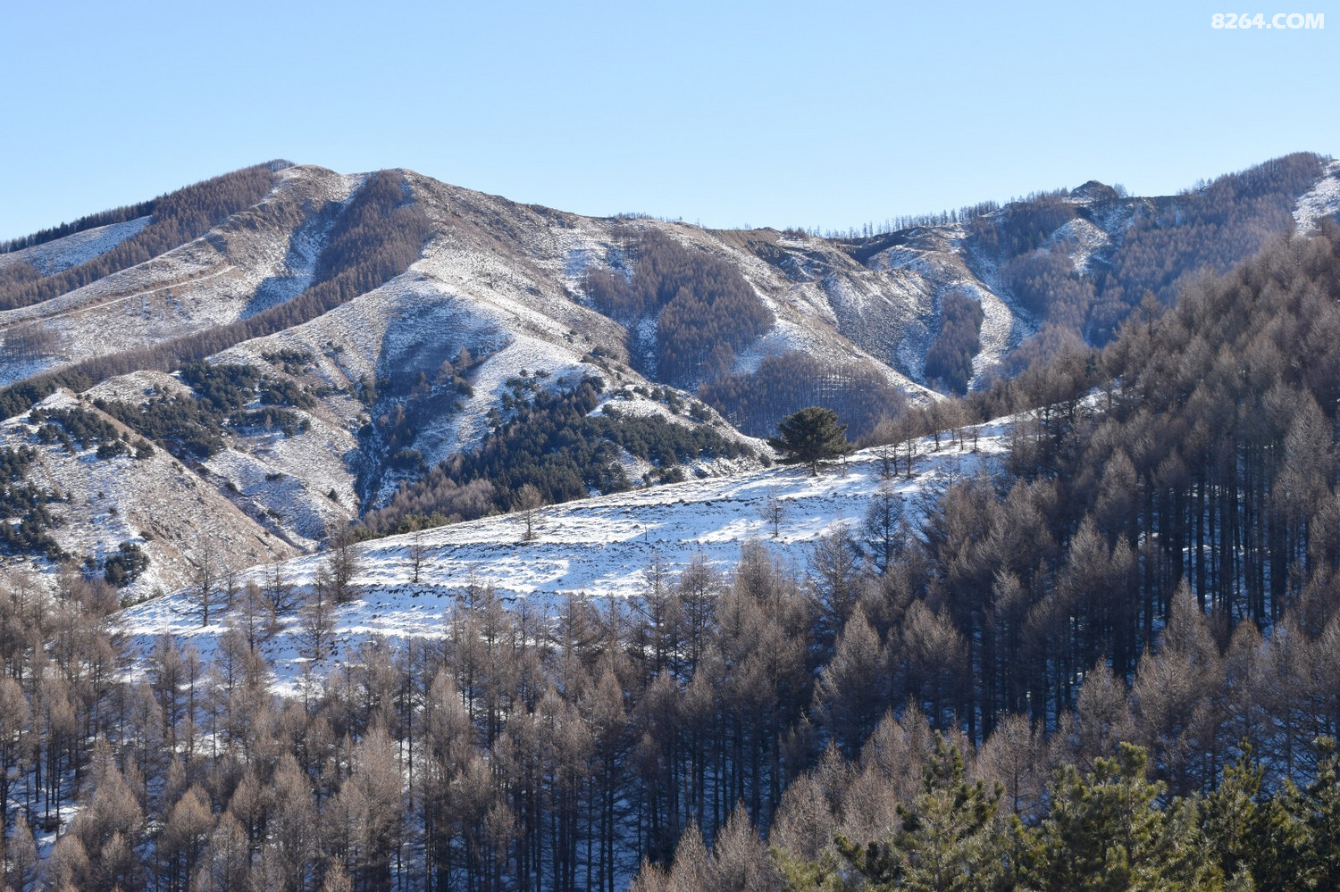 DSC_0023.JPG