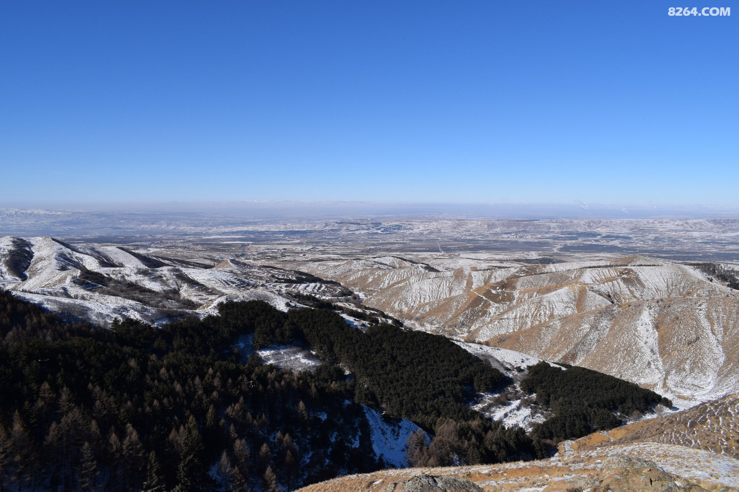 DSC_0026.JPG