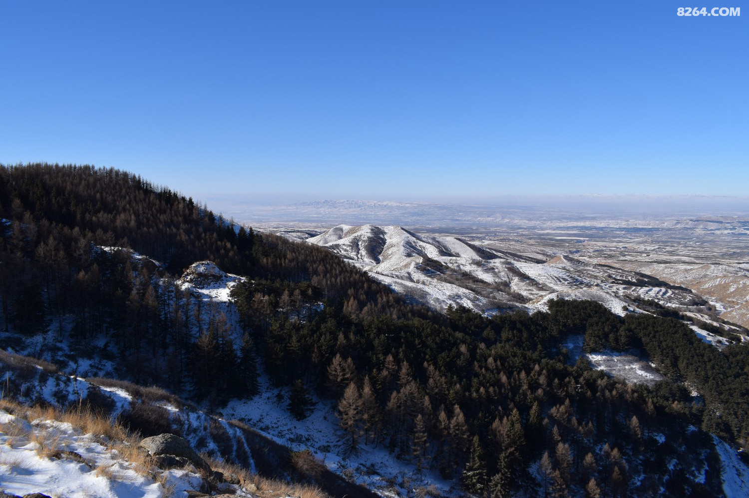 DSC_0027.JPG