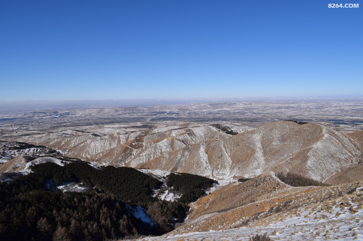 DSC_0033.JPG