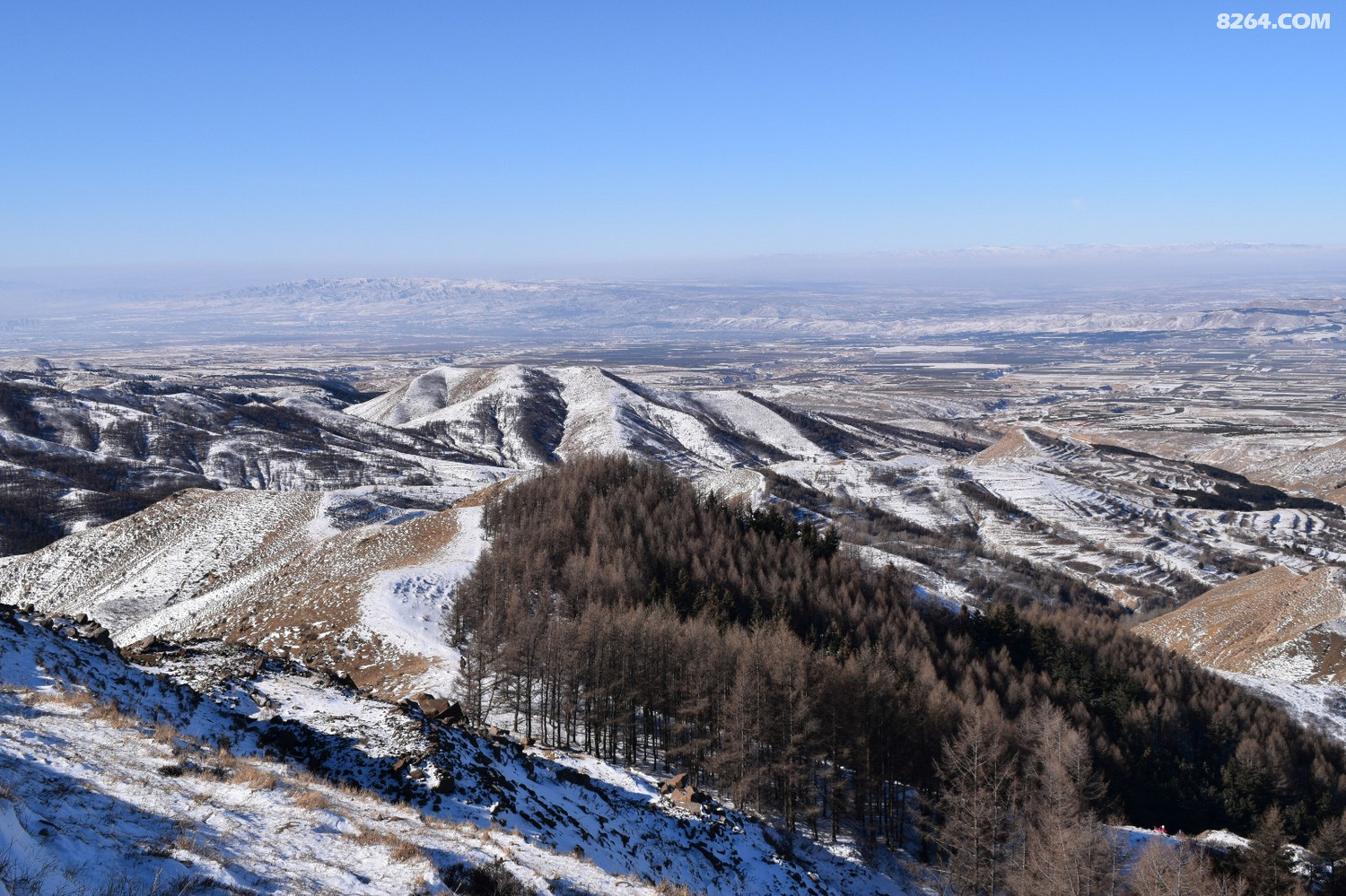 DSC_0040.JPG