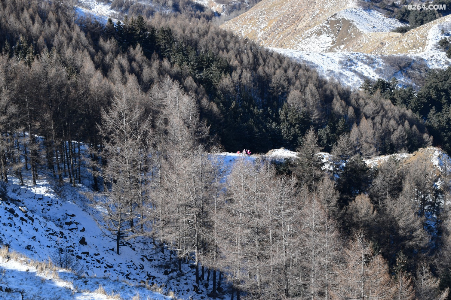 DSC_0041.JPG