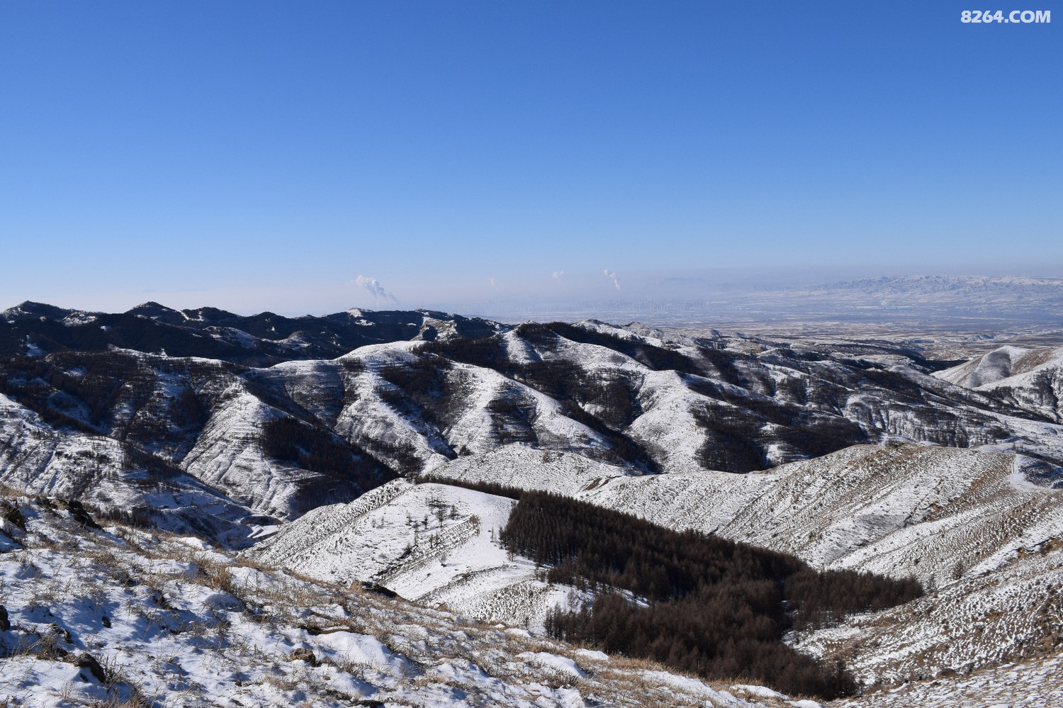 DSC_0042.JPG