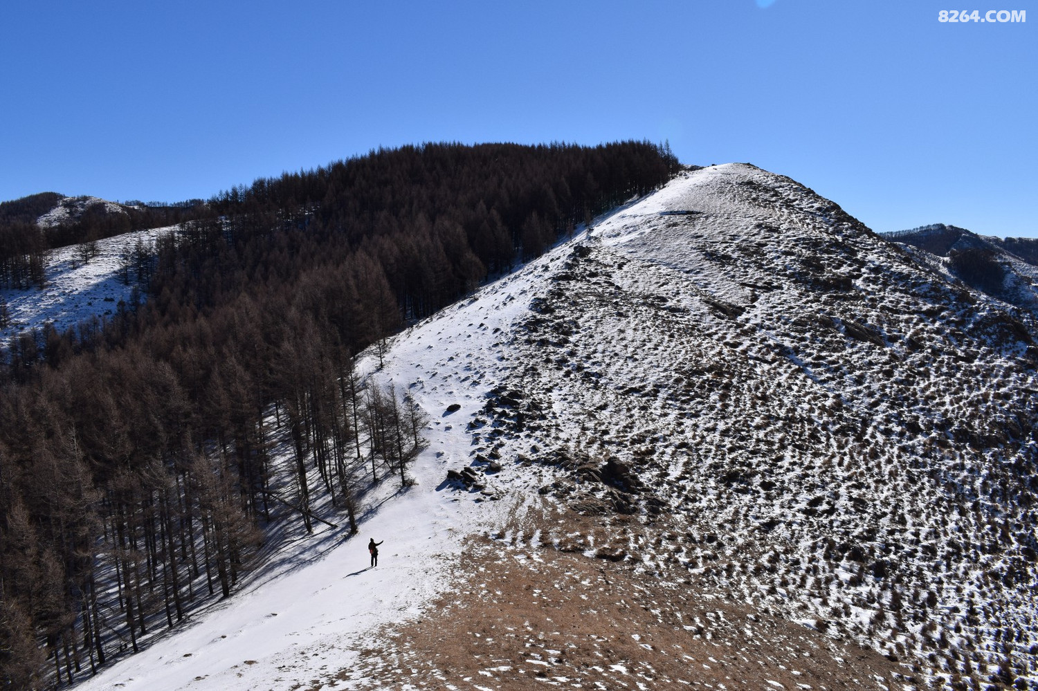 DSC_0051.JPG