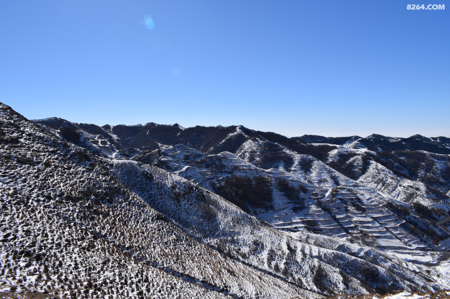 DSC_0052.JPG