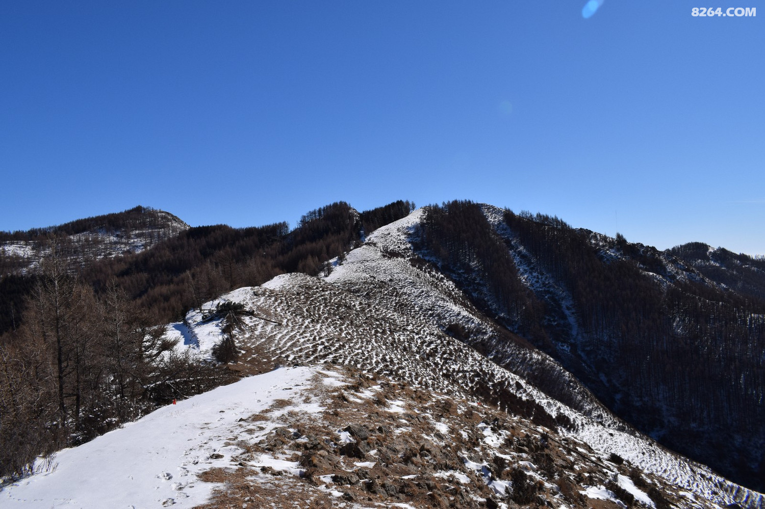 DSC_0059.JPG