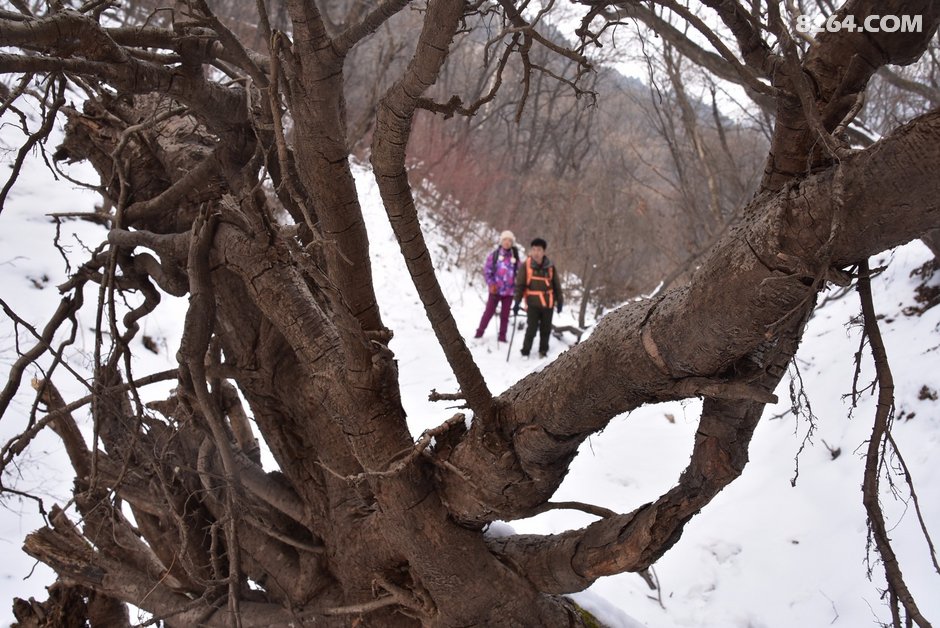 灵石美景夹板沟