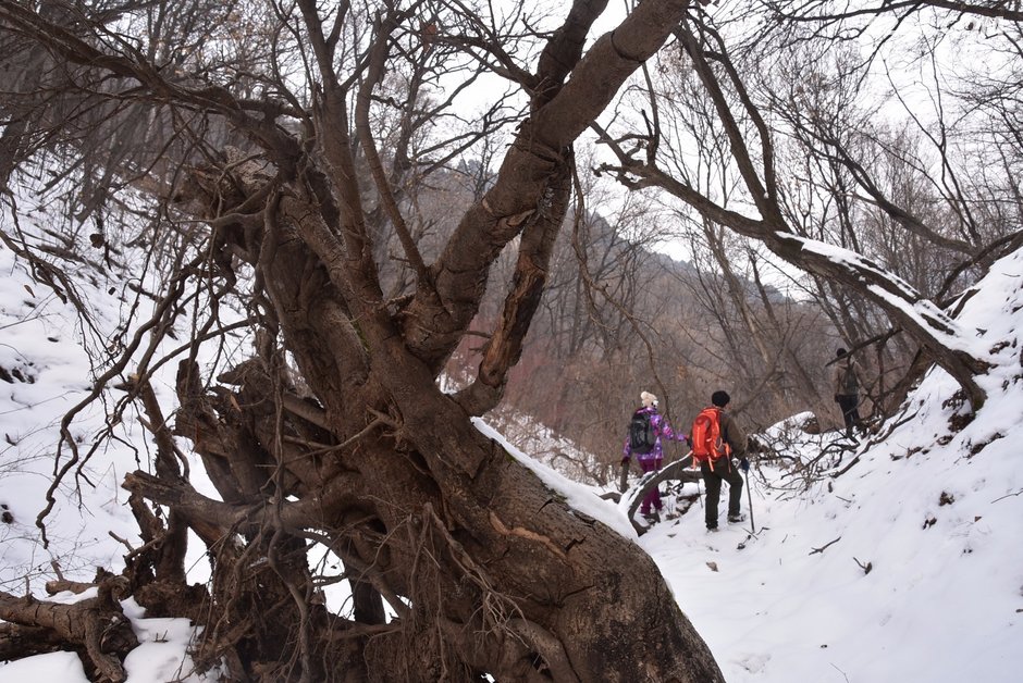 灵石美景夹板沟