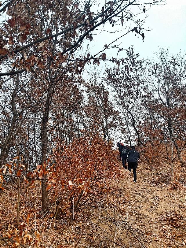 ��㴦С�İθߣ��̹���ʮ����ӣ������Ϣ���𲽼�����������