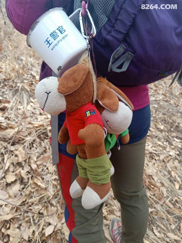 �ѿ��ӵ�8264¿