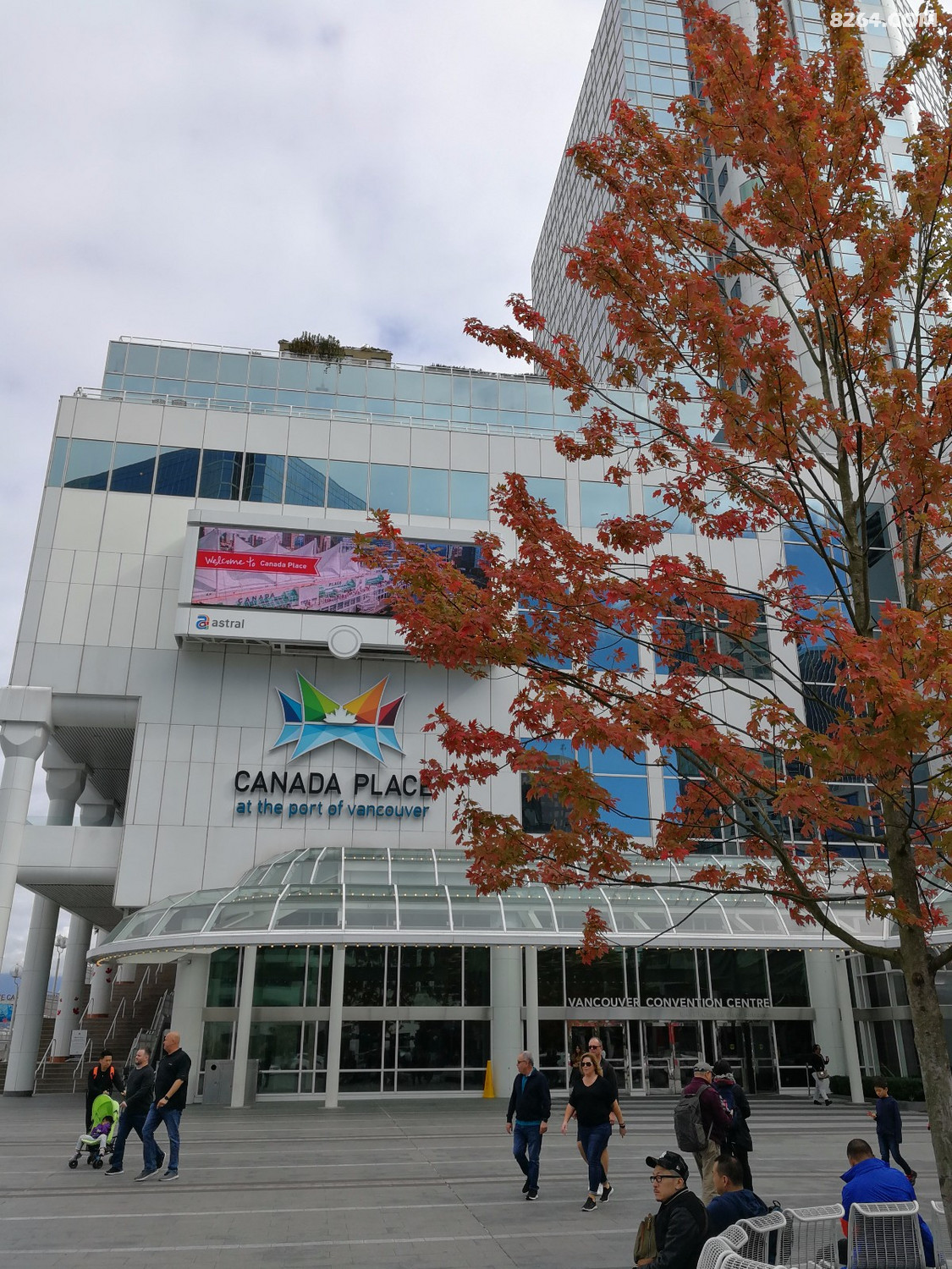 IMG_20180924_125356.jpg