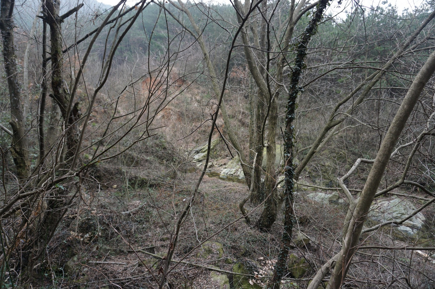 2.23黄陂棺材山穿越