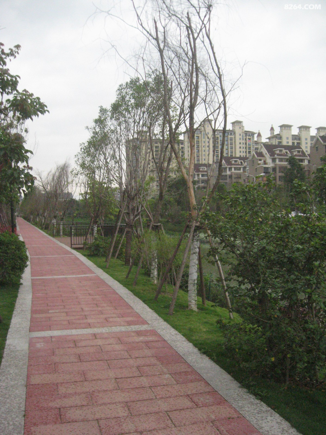 福州横江渡浦上河飞凤河巡游3月23日