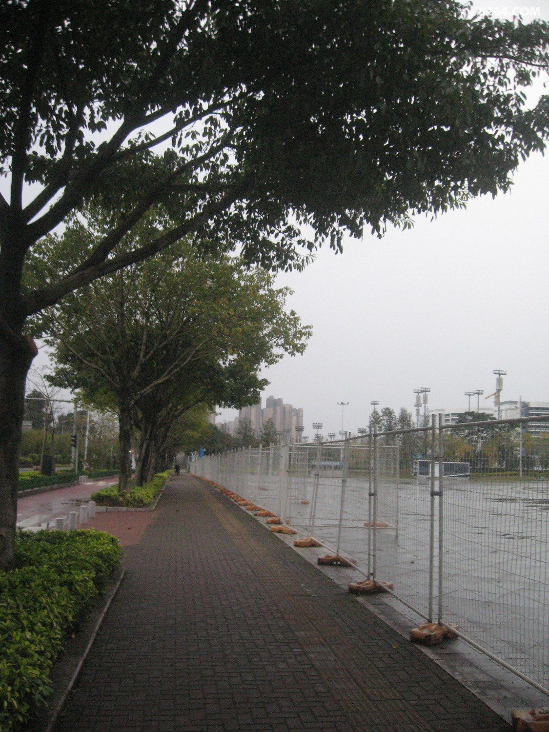 福州横江渡浦上河飞凤河巡游3月23日