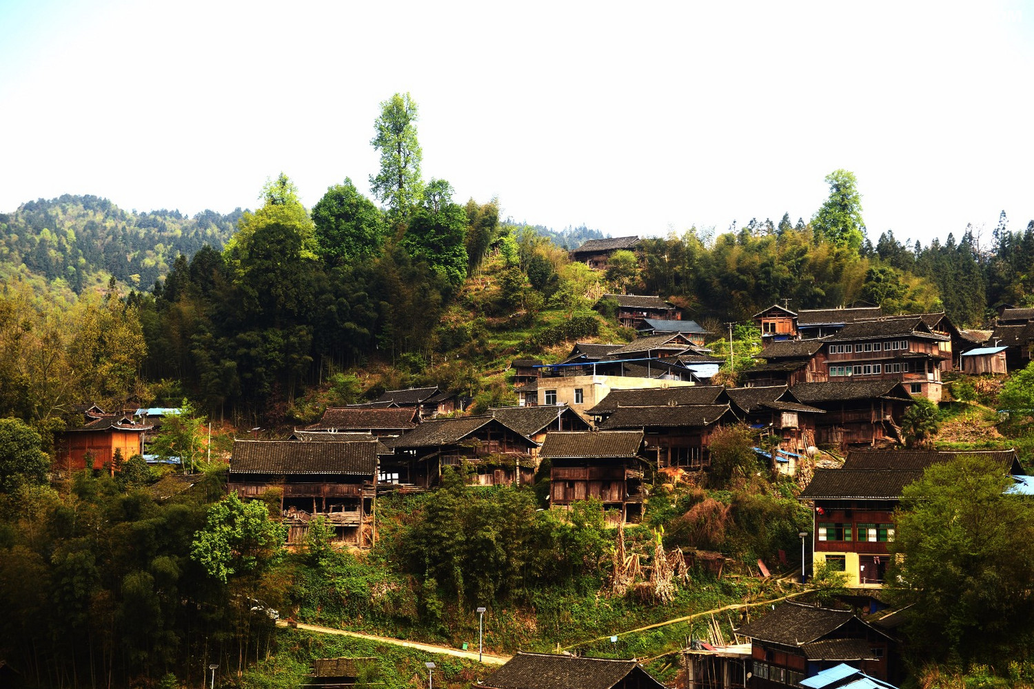 空申苗寨的超短裙