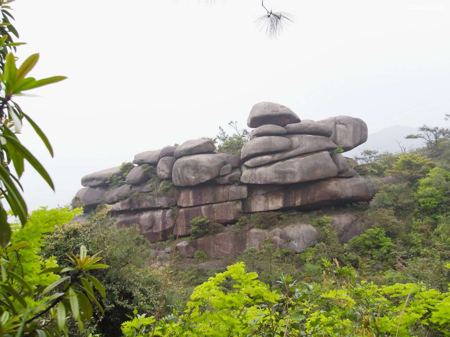 马尾昆仑山叠石君山龙根
