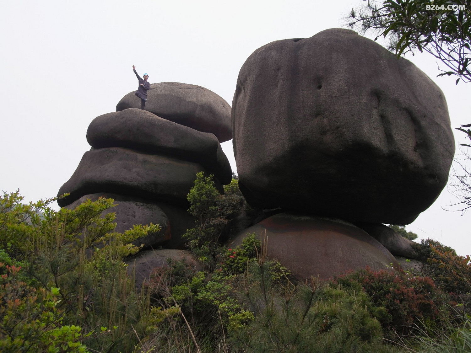 马尾昆仑山叠石君山龙根