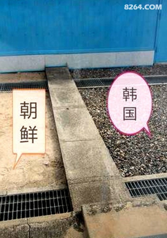 t018aadb0d9812e4e98.jpg