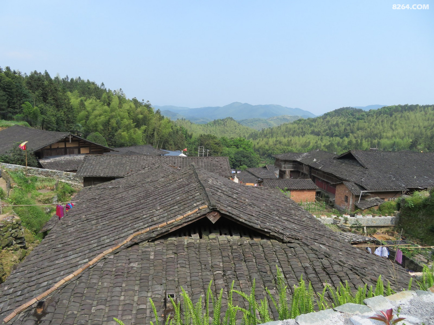 罗源县飞竹镇塔里洋畲族文化中心2019年5月11日