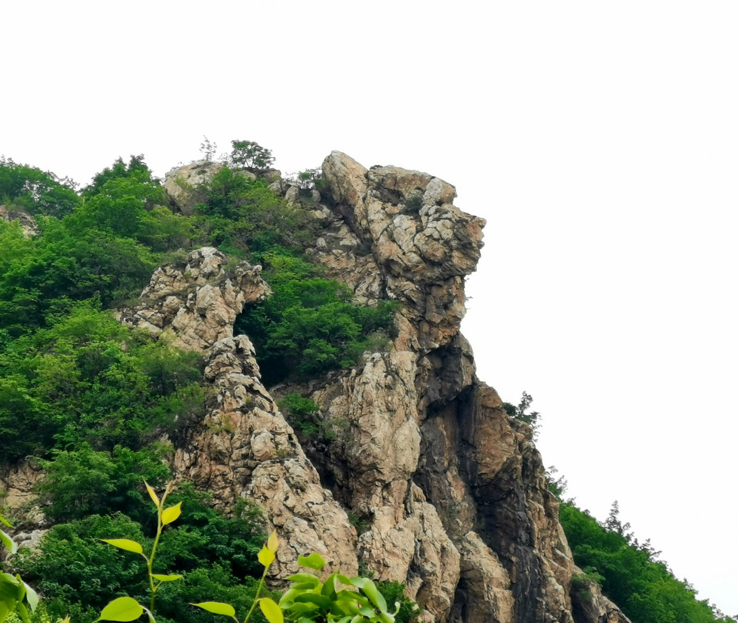 铁岭开原砬子山一日山地穿越林子户外第447次活动回顾