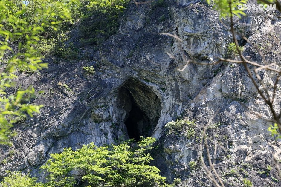 河口老道洞看大湾簸箕掌山赏花游