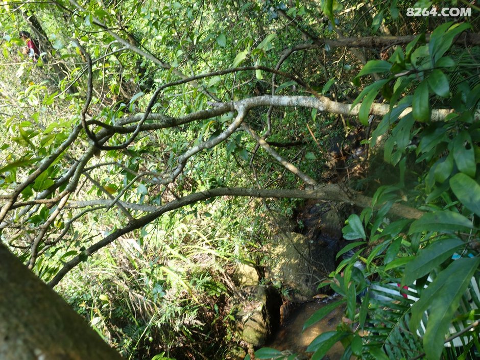 接上正轨抵达标志性大石头,休整片刻,即爬又长又陡的检金顶细石陡坡社