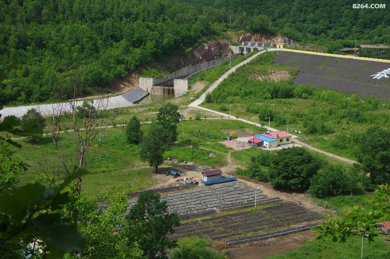 2019622登汪清春阳水库北山