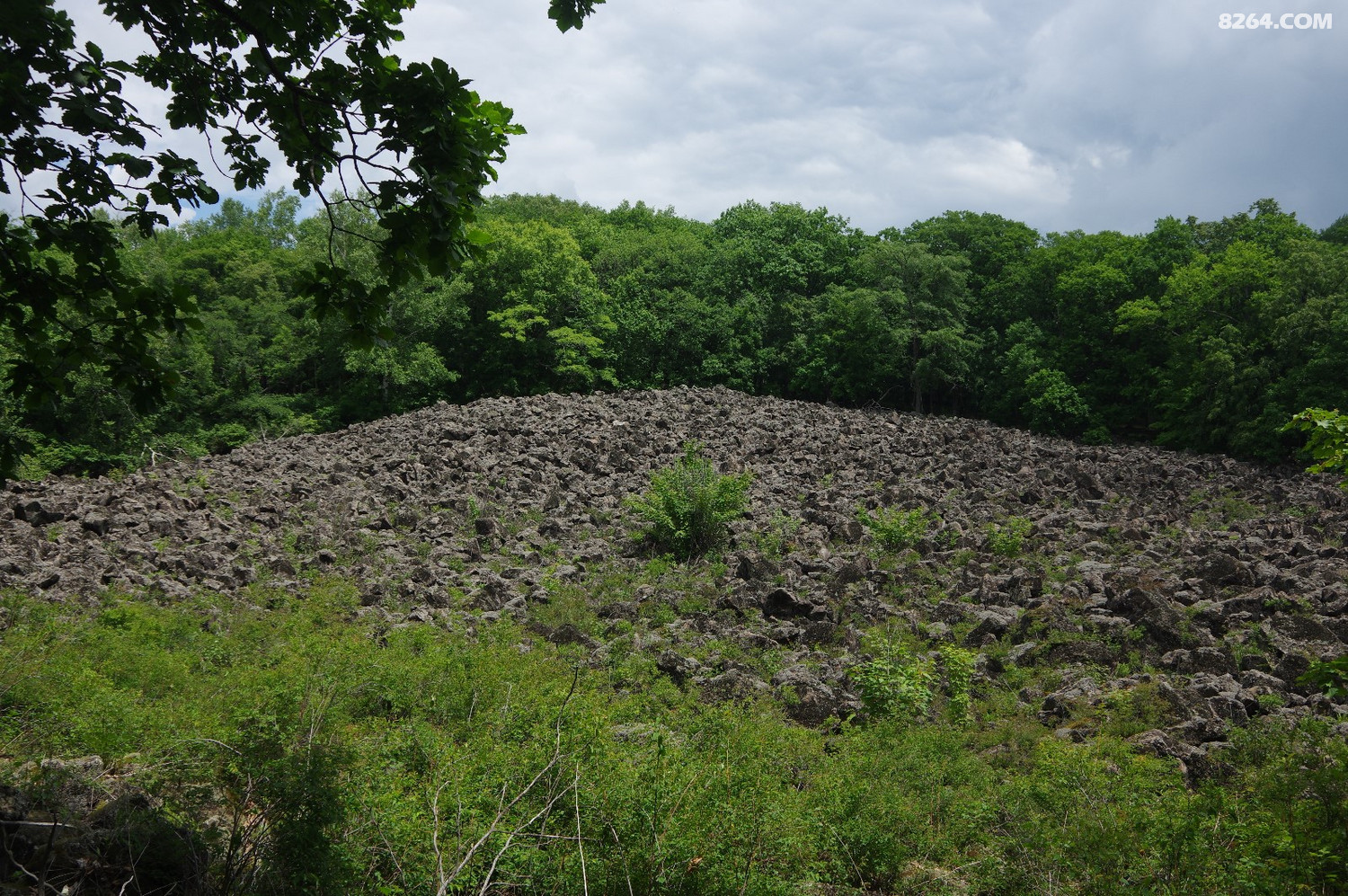 2019-6-22登汪清春阳水库北山