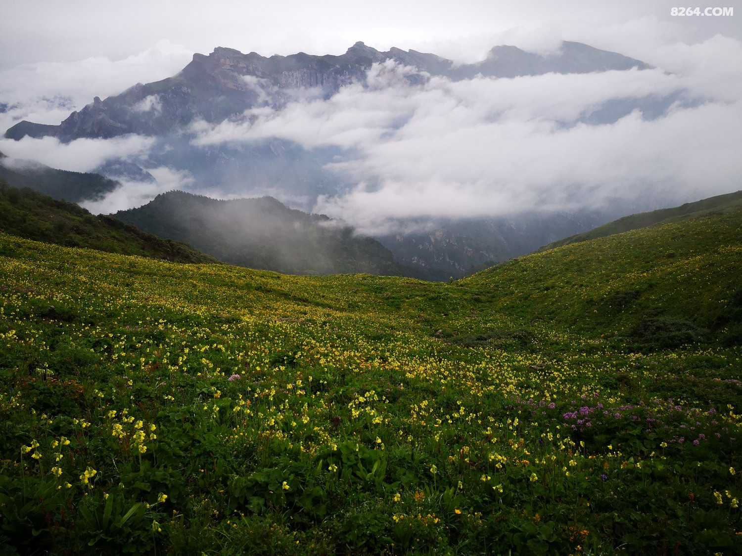 登顶太子城真实记录 - 第1页 - 山伍成群 - 8264户外