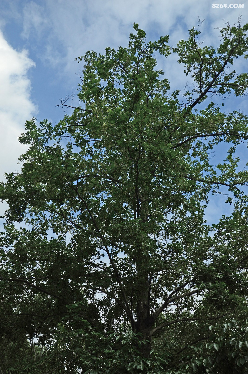 白草坪——三峰山——二道沟环游(20190707)