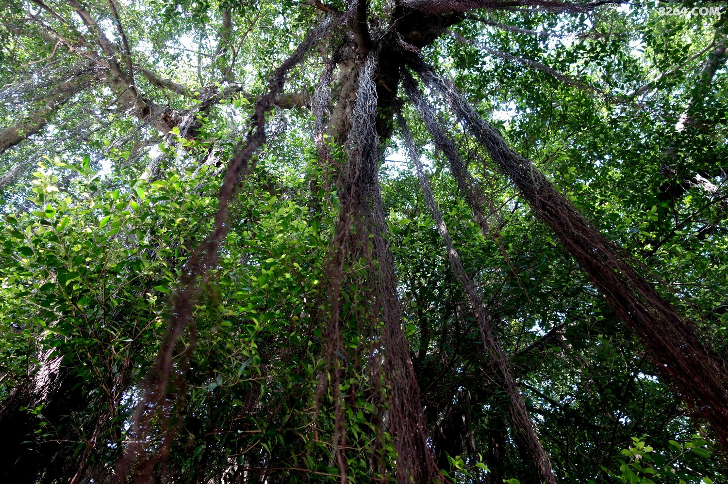 访游长乐琴江满族村五百罗汉山金钢腿33米卧佛