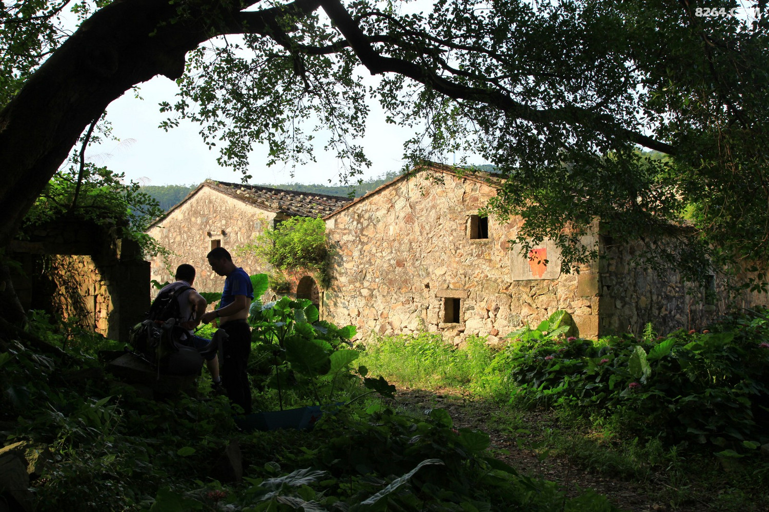 福清梨庄无人村装逼瞎转 - 第2页 - 福建 - 8264户外