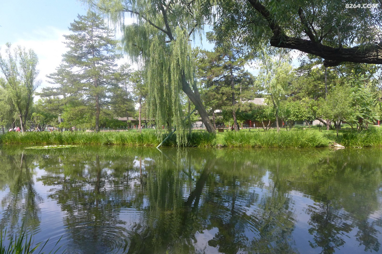承德避暑山庄炎热夏季最好的旅行去处