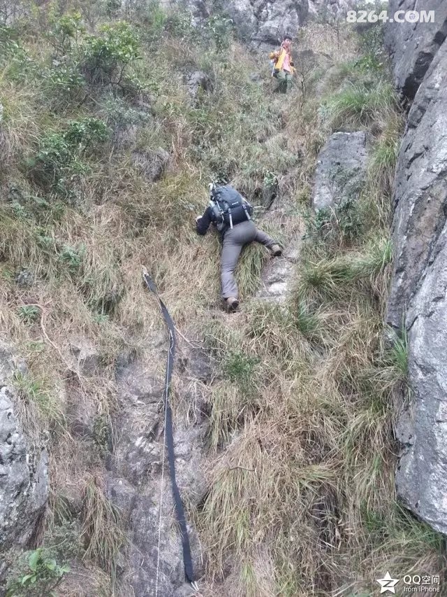 83.jpg