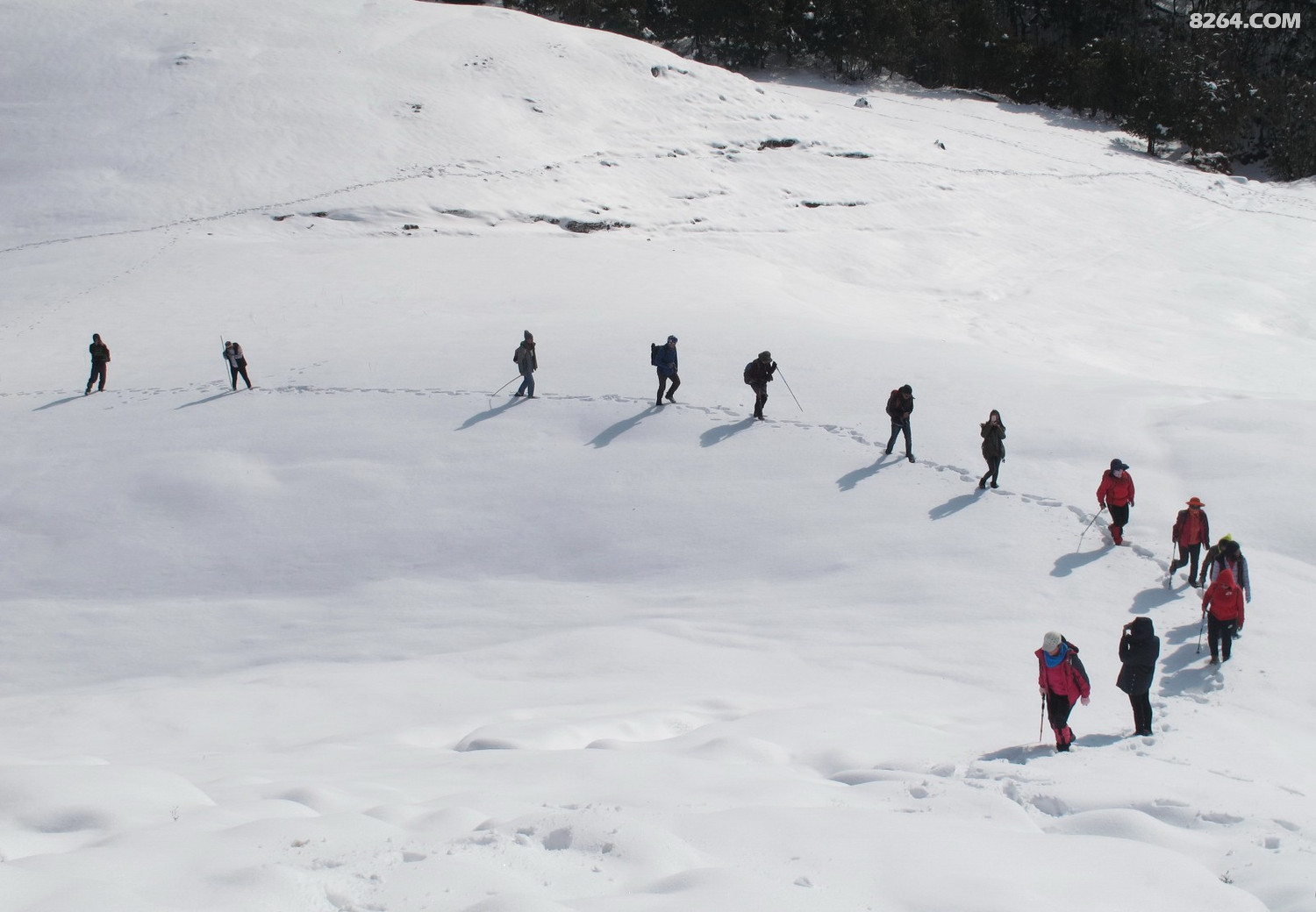 2017225ѩɽƷ̤ѩ   ߣ־   绰13988645900.jpg