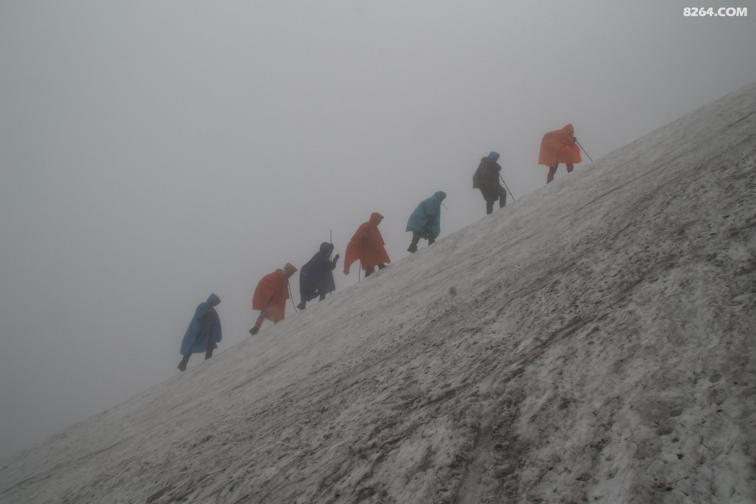 2017529ڱѩɽ Ʒѩ  ߣ־ 绰13988645900.JPG