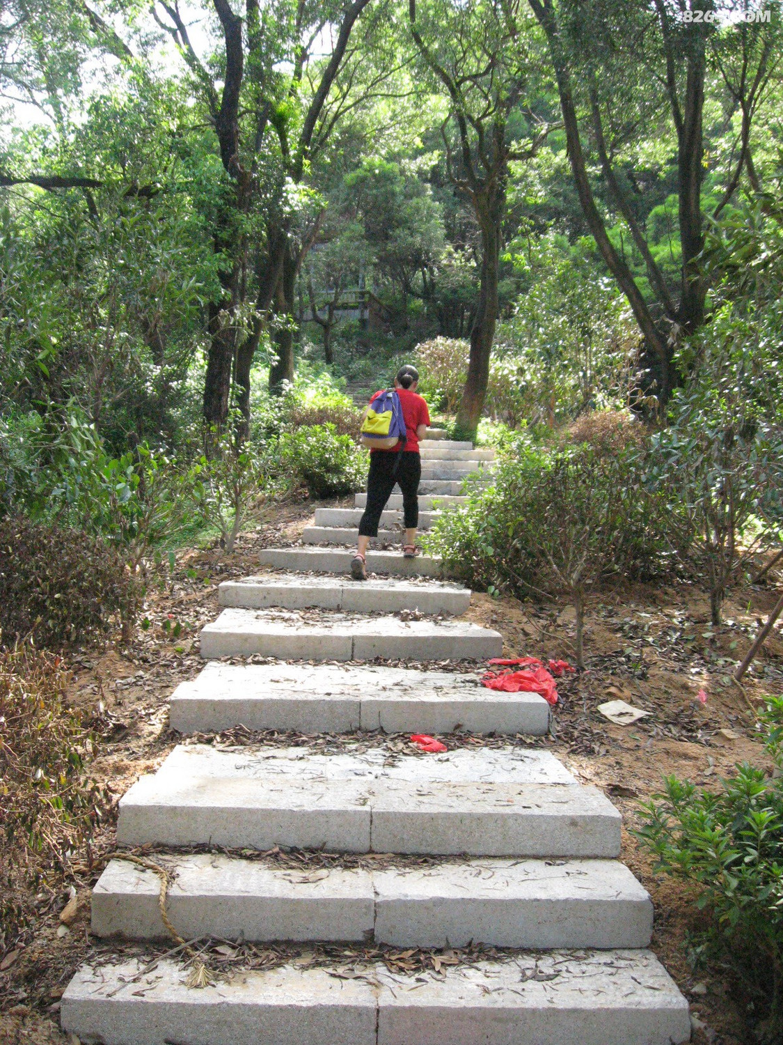福州福山福道义井登山公园绕山福道基本建成8月3日