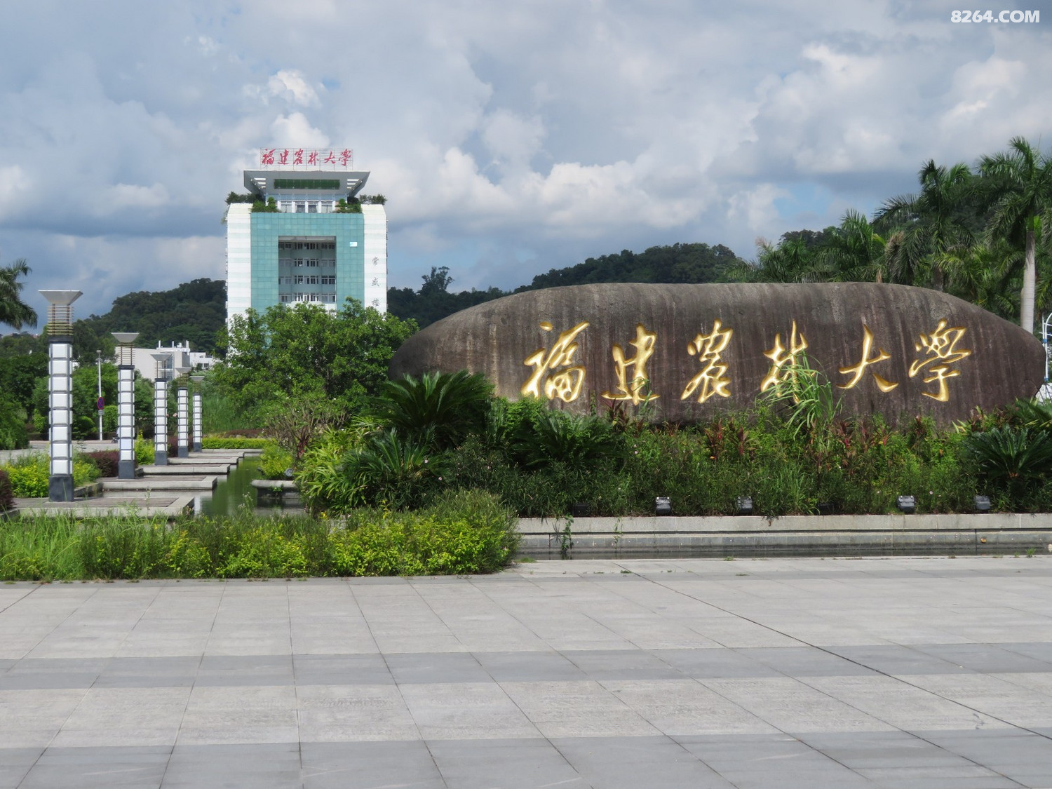 中天金海岸福建农林大学穿越之金山寺沙滩公园观音湖图片2019年8月4日