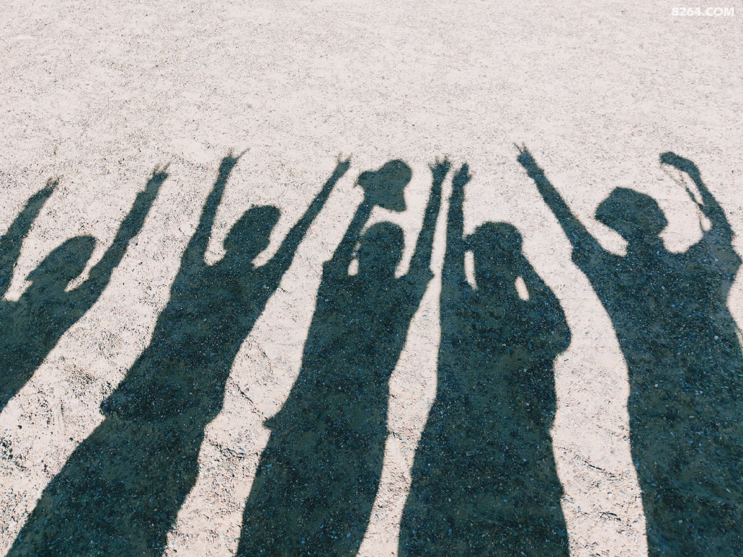 骑行伙伴--五人组影子