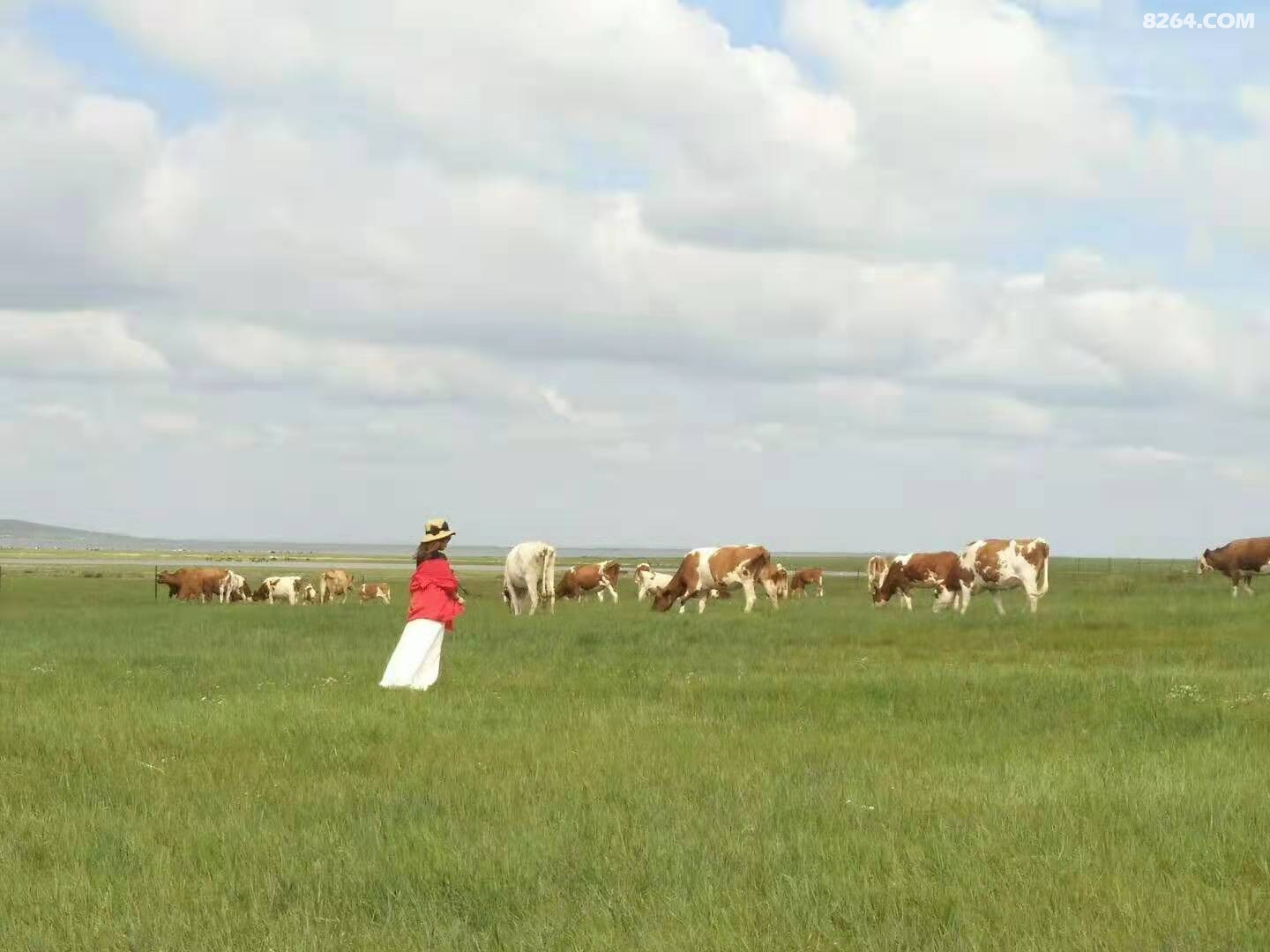 ΢��ͼƬ_20190816171130.jpg