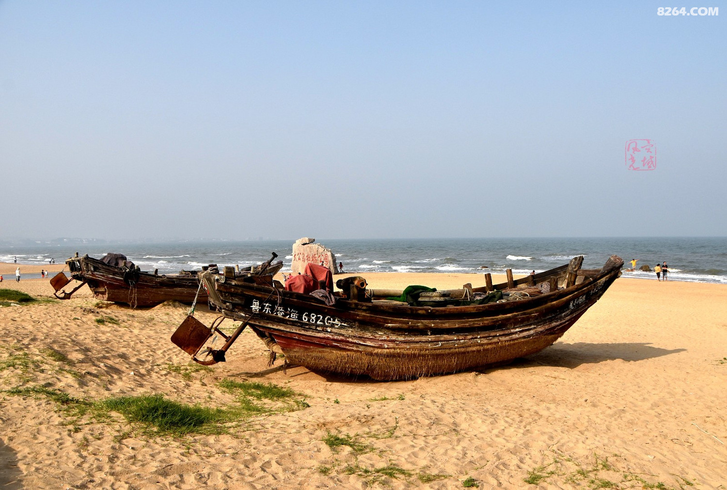 太公岛滩涂风光
